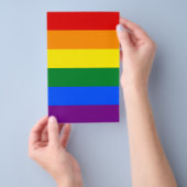 LGBT Rainbow Gay Pride Flag Flyer (Handgriff)