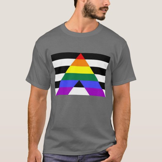 LGBTQ+-Alleinflagge T-Shirt (Vorderseite)