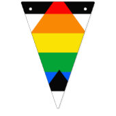 LGBTQ+-Alleinflagge Wimpelkette (Zweite Fahne)