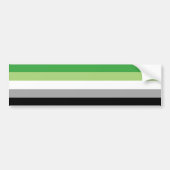 LGBTQ-Aromantische Flagge Autoaufkleber (Vorne)