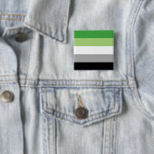 LGBTQ-Flag für Aromatiker Button (Beispiel)