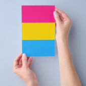 LGBTQ-Flag Pansexual Prilag Flyer (Handgriff)