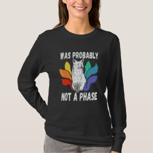 Lgbtq Gay Pride Regenbogen War Wahrscheinlich Kein T-Shirt