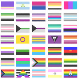 LGBTQ+ Pride Flags Aufkleber