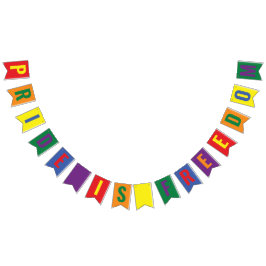 LGBTQ Pride is Freedom Rainbow Wimpelkette