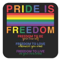 LGBTQ Pride Rainbow Flag ist Freedom Gay Rights