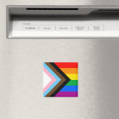 LGBTQ+ Progress Pride Magnet (In Situ (Geschirrspüler))