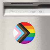 LGBTQ+ Progress Pride Magnet (In Situ (Geschirrspüler))