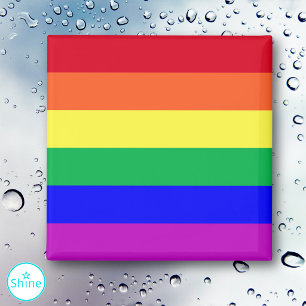 LGBTQ+ Regenbogenflagge Gay Pride Flagge Regenboge Magnet