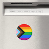 LGBTQ+-Statusanzeige Magnet (In Situ (Geschirrspüler))