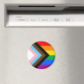 LGBTQ+-Statusanzeige Magnet (In Situ (Geschirrspüler))