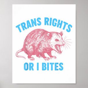 Lgbtq Transgender Equality Trans Rights O Poster