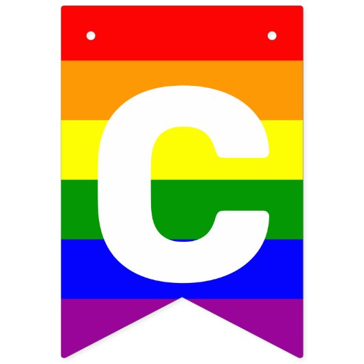 LGBTQIA Pride Rainbow Horizontale Jagdflaggen Wimpelkette (Erste Fahne)