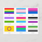LGBTQIA Prix 9 x FLAGS Rainbow Awareness Chic und Ankündigungspostkarte (Vorderseite)