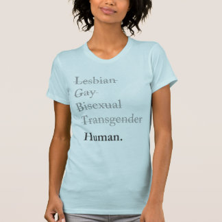 LGBTQIAP+-Gleichheitsstolz T-Shirt