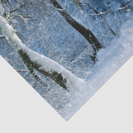 Lge Winter Wonderland Magische Glitterie Schnee Seidenpapier (Detail)