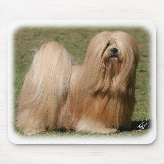 Lhasa Apso 9Y394D-079 Mousepad (Vorne)