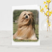 Lhasa Apso 9Y394D-104 Karte (Gelbe Blume)