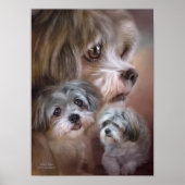 Lhasa Apso Art Poster/Print Poster (Vorne)