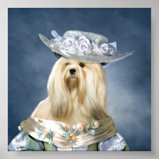 Lhasa Apso Baroness Print Poster