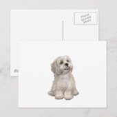 Lhasa Apso (C) - Hellgold Postkarte (Vorne/Hinten)