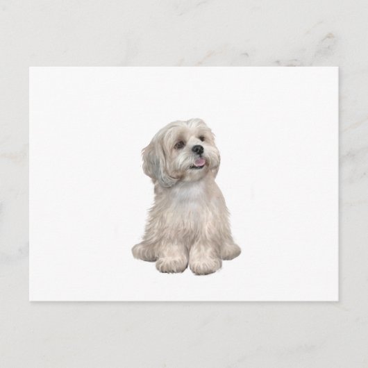 Lhasa Apso (C) - Hellgold Postkarte (Vorderseite)