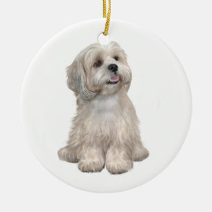 Lhasa Apso (C) - Leichtgold Keramik Ornament