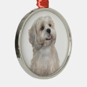 Lhasa Apso (C) - Leichtgold Ornament Aus Metall (Rechts)