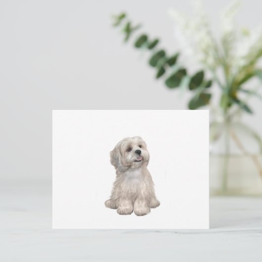 Lhasa Apso (C) - Leichtgold Postkarte (Stehend Vorderseite)