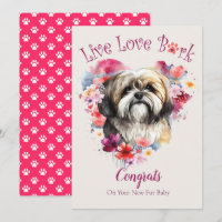 Lhasa Apso Dog Adoption, Gotcha Tag