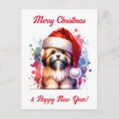 Lhasa Apso Dog in der Weihnachtsmannmütze Weihnach Postkarte (Vorderseite)