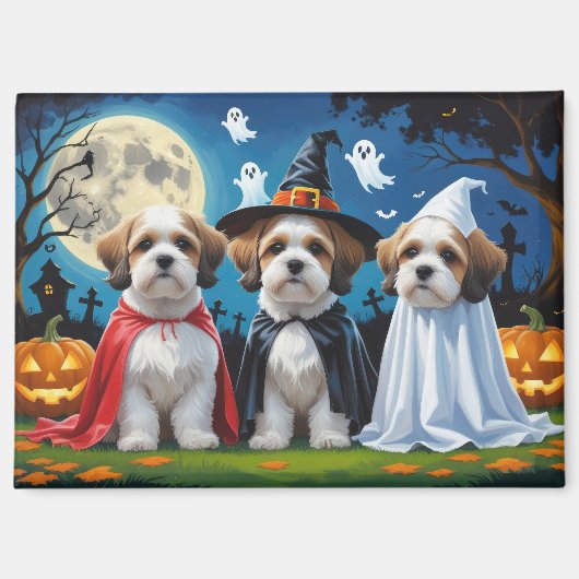Lhasa Apso Dogs Pumpkin Halloween Funny Magnet (Vorderseite)