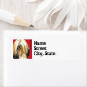 Lhasa Apso Farbblock (Insitu)