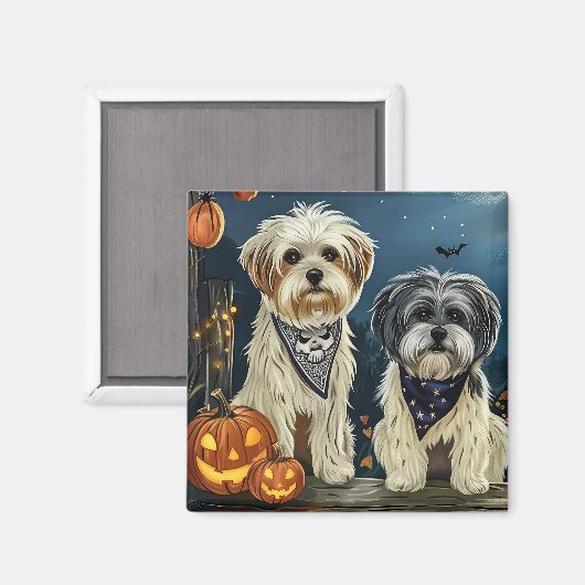 Lhasa Apso Halloween Spooky Magnet (Vorderseite/Rückseite)