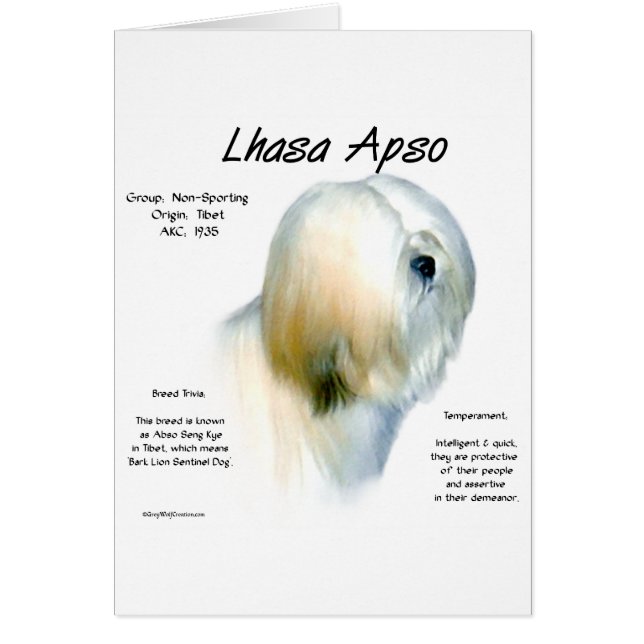 Lhasa Apso History Design (Vorne)