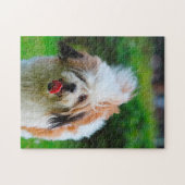 Lhasa Apso Hund Breed. Puzzle (Horizontal)