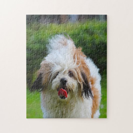 Lhasa Apso Hund Breed. Puzzle (Vertikal)