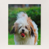 Lhasa Apso Hund Breed. Puzzle (Vertikal)