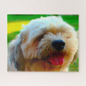 Lhasa Apso Hund Breed. Puzzle (Horizontal)
