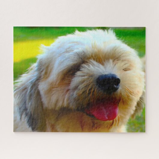 Lhasa Apso Hund Breed. Puzzle (Horizontal)