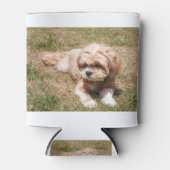 Lhasa Apso Hund Dosenkühler (Vorderseite)