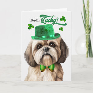 Lhasa Apso Hund fühlt sich am St. Patrick's Day gl Feiertagskarte
