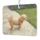 Lhasa Apso Hund im Garten Autolufterfrischer (Links)