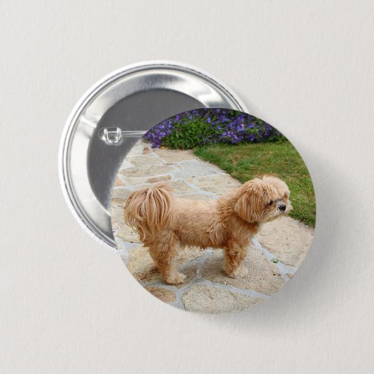 Lhasa Apso Hund im Garten Button (Vorne & Hinten)