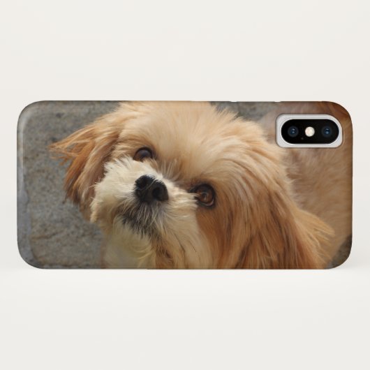Lhasa Apso Hund im Garten Case-Mate iPhone Hülle (Rückseite (Horizontal))