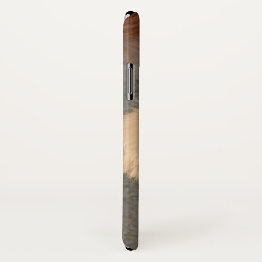 Lhasa Apso Hund im Garten Case-Mate iPhone Hülle (Hinten/Rechts)