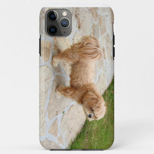 Lhasa Apso Hund im Garten Case-Mate iPhone Hülle