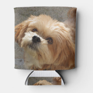 Lhasa Apso Hund im Garten Dosenkühler
