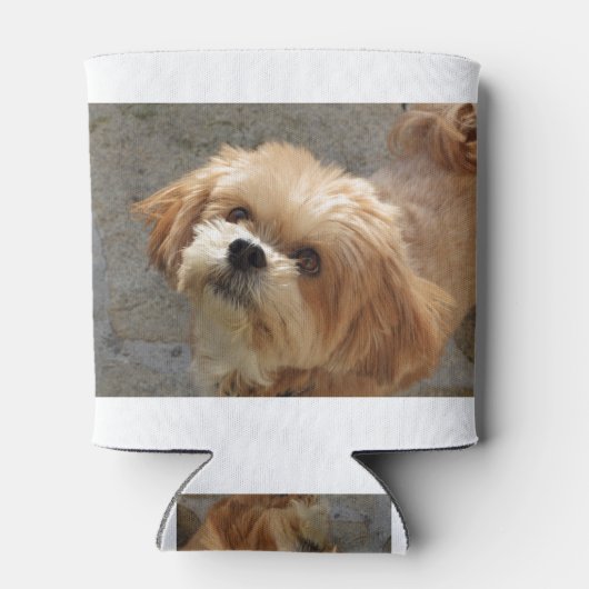 Lhasa Apso Hund im Garten Dosenkühler (Rückseite)