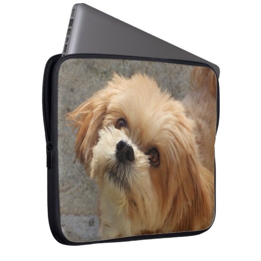 Lhasa Apso Hund im Garten Laptopschutzhülle (Vorne Rechts)